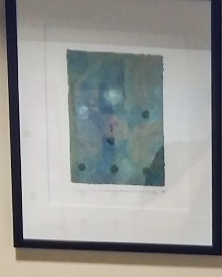 Monoprint (2016) by HB Barry Strasbourg-Thompson. Linocut Akua ink on Strathmore 400.