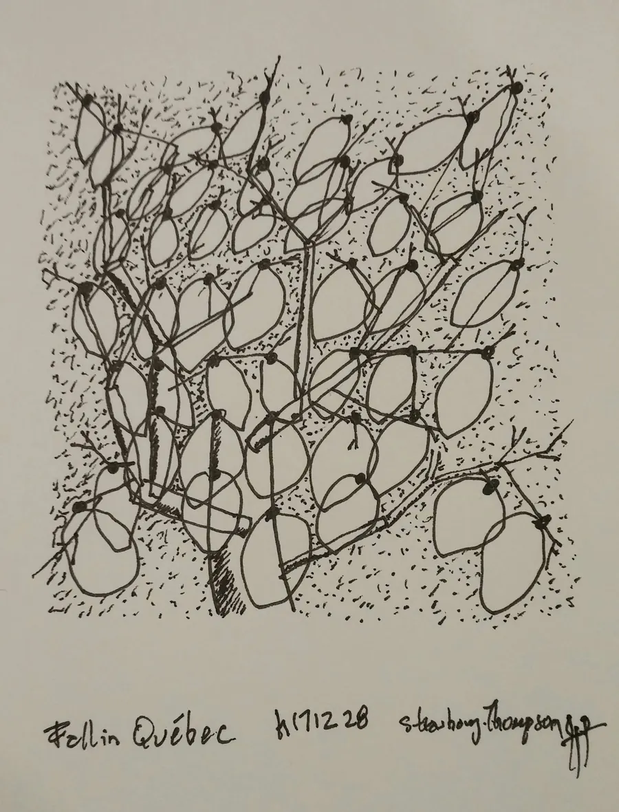 Quebec in Fall (autumn) (2017) by HB Barry Strasbourg-Thompson. Pigma archival ink on h/j a/f paper.