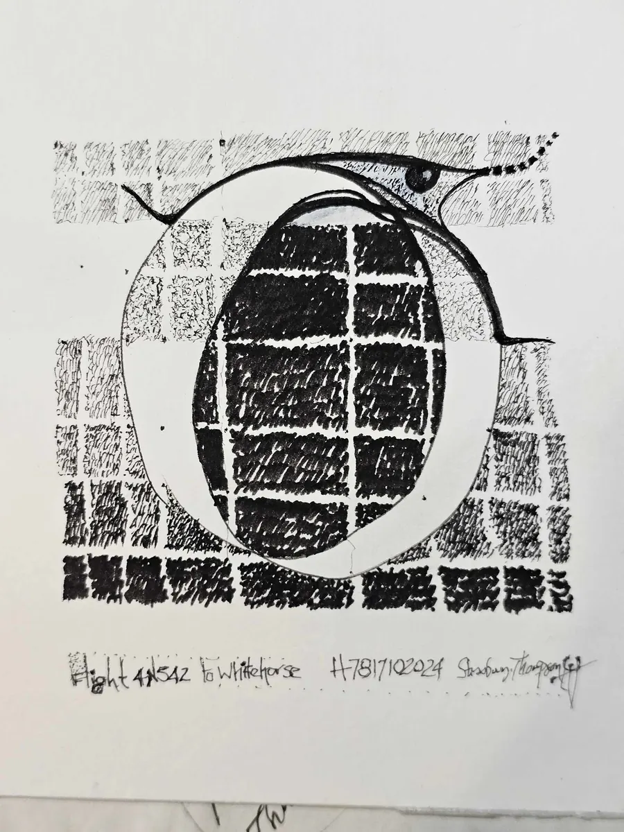 HOMELESS2HOME (Flight 4N542 to Whitehorse H17102024) (2024) by HB Barry Strasbourg-Thompson. W/N Black Fineliner Artist pens on 300 lb. Ragboard 8x8".