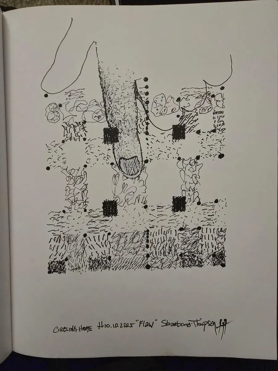 CIRCLING HOME..FLAW" H7910102025 (2025) by HB Barry Strasbourg-Thompson. Fineliner black pen & Sakura Gelly roll .08 white pen on 75lb. A/F sketch paper 11" x 8.5".