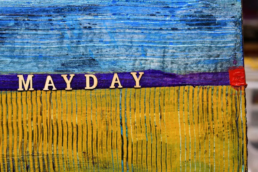 MAYDAY FOR MY CHILDREN. H7518012022 (2022) by HB Barry Strasbourg-Thompson. View 7.